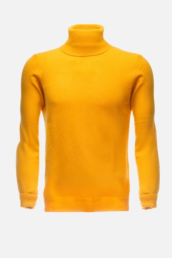 MAGLIA A COLLO ALTO IN LANA CASHMERE